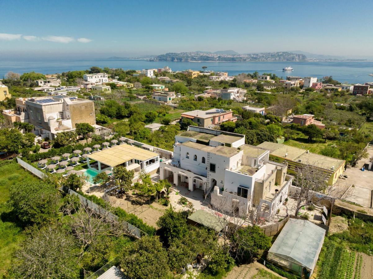 Cala Cala Rooms,Restaurant & Farm Experience Procida Exterior foto